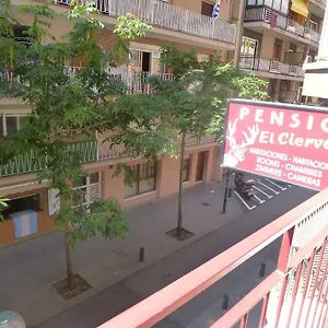 pension-el-ciervo.catalonia-hotels.com/
